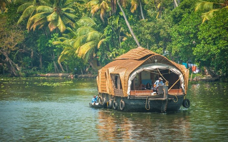 The Natural Beauty of Kerala